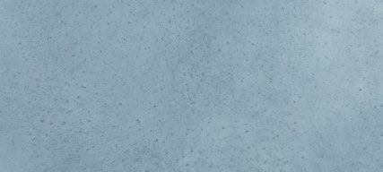 Neutro + Oceano