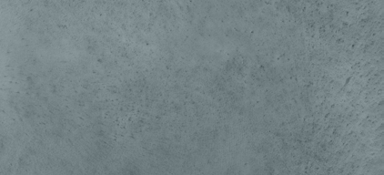 Pewter + Foresta