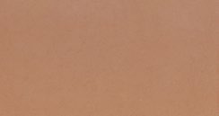 Desert Tan