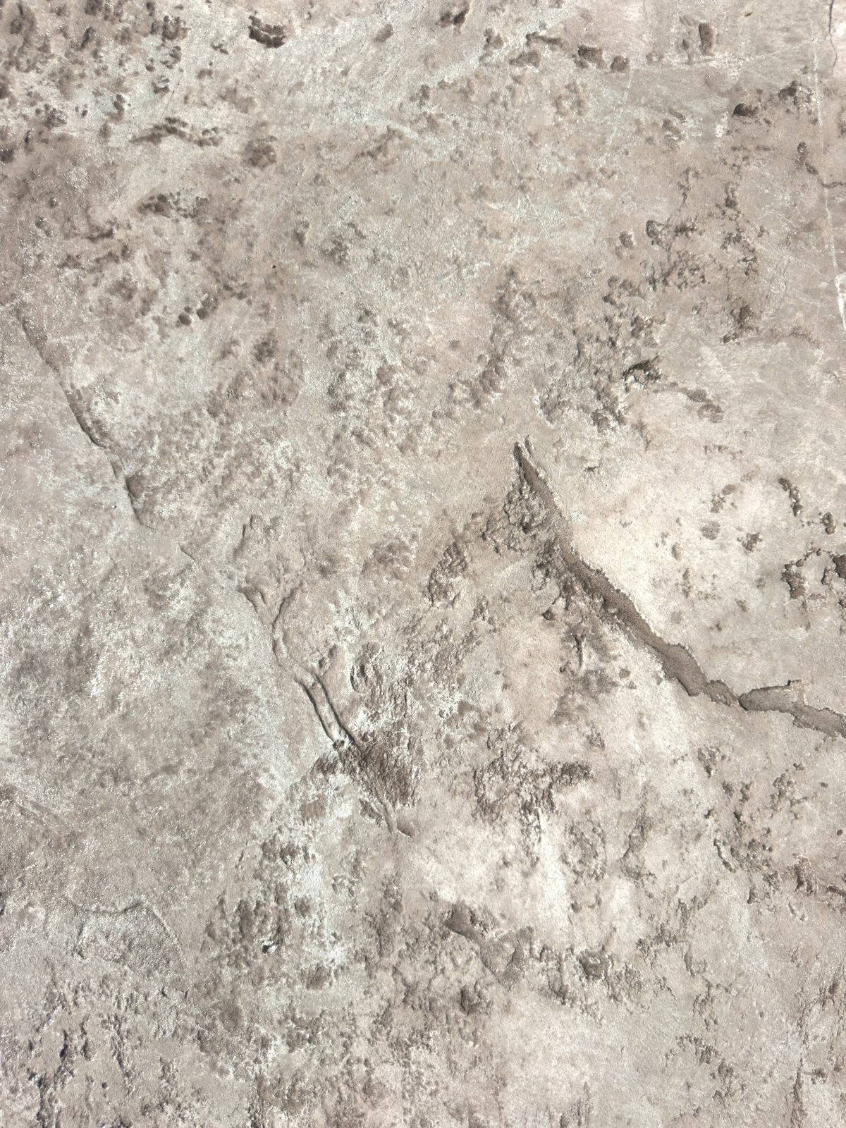 Dettaglio della texture effetto roccia di un pavimento in cemento stampato Pewter e Grey