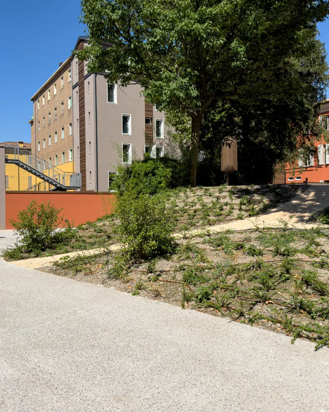 Ghiaino Lavato Modena – Pavimentazione in Sassoitalia