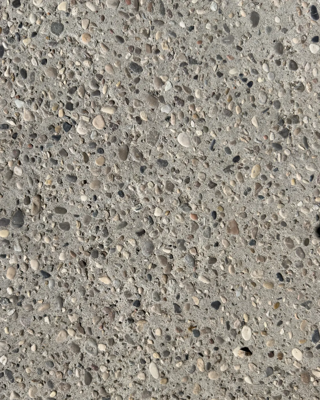 Ghiaino lavato modena