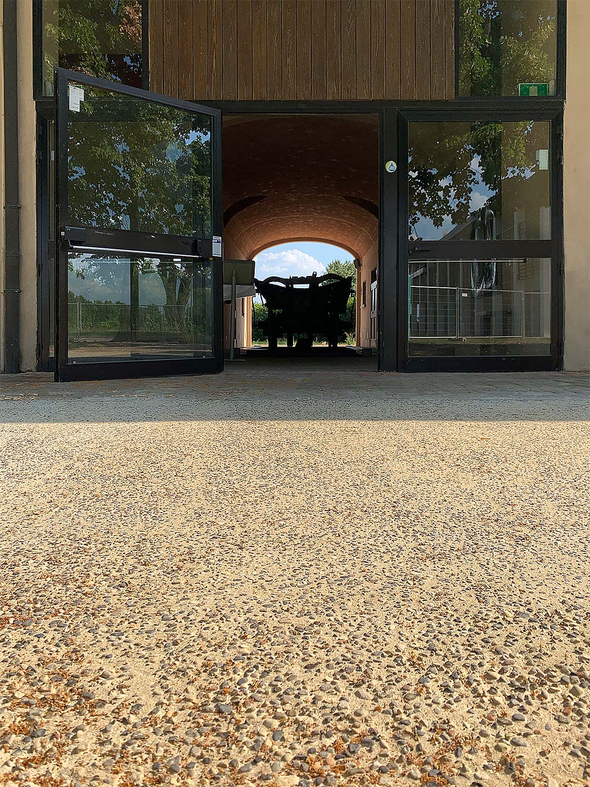 Museo cervi