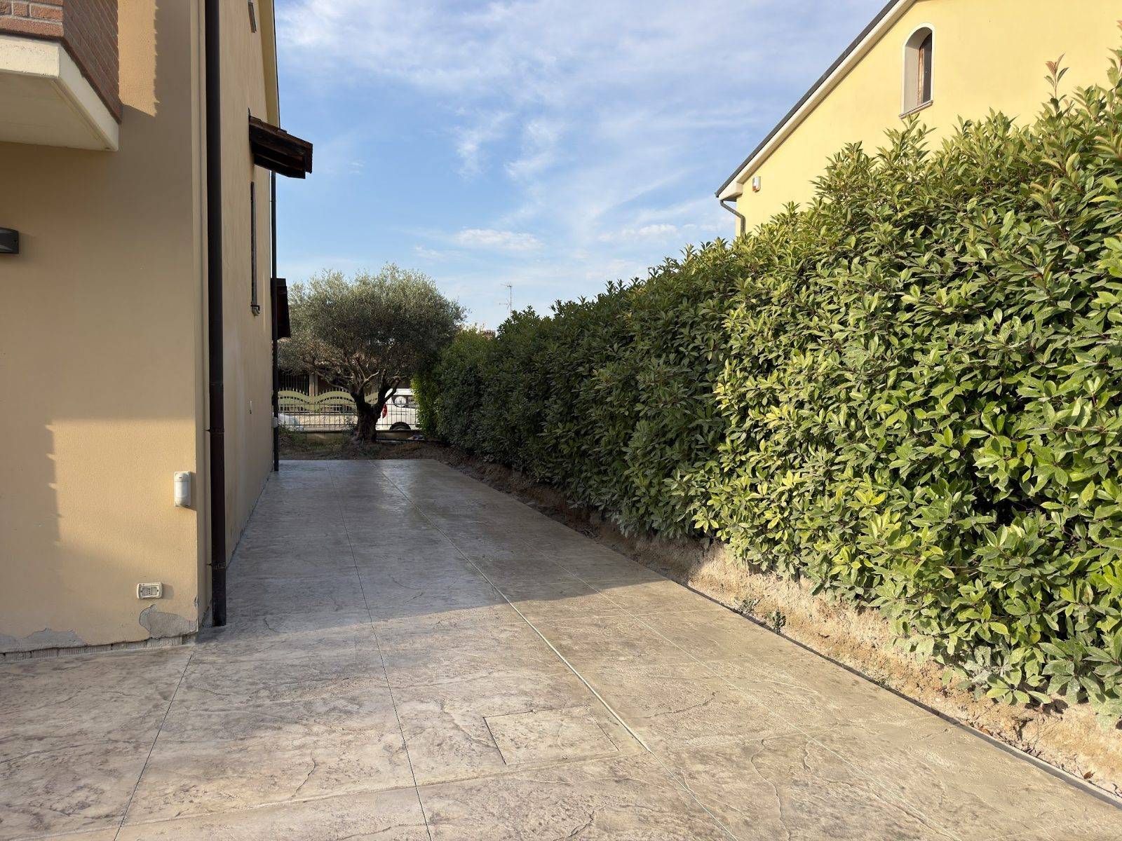 Passaggio pedonale in calcestruzzo tra siepe e abitazione a Casalmaggiore (CR)