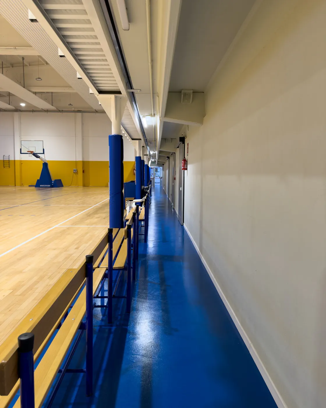 Resina per interni Piumazzo: pavimento sportivo per palestra